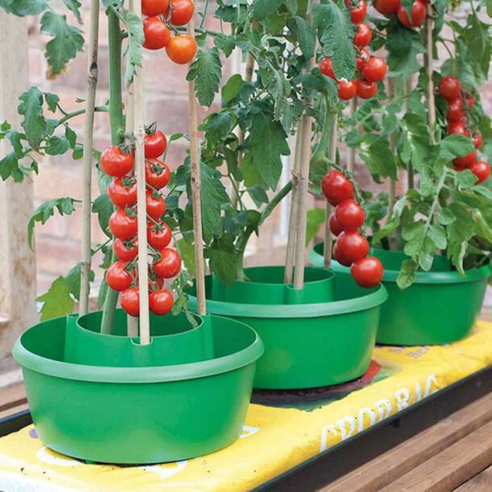 plant, watering, system, garden