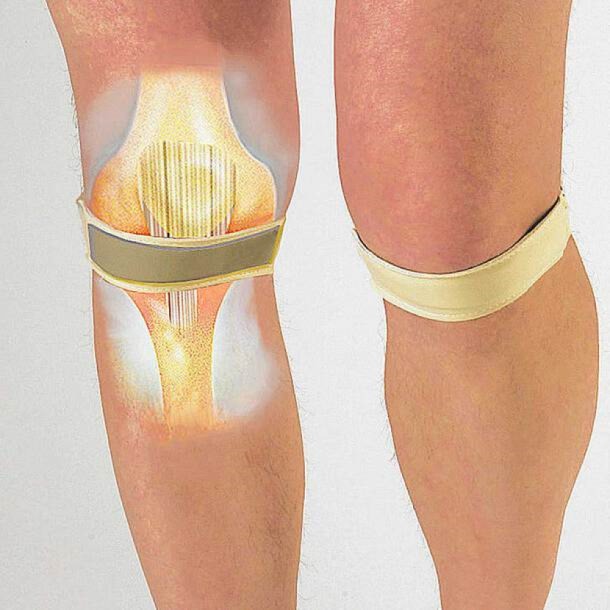 magnetic, knee, support