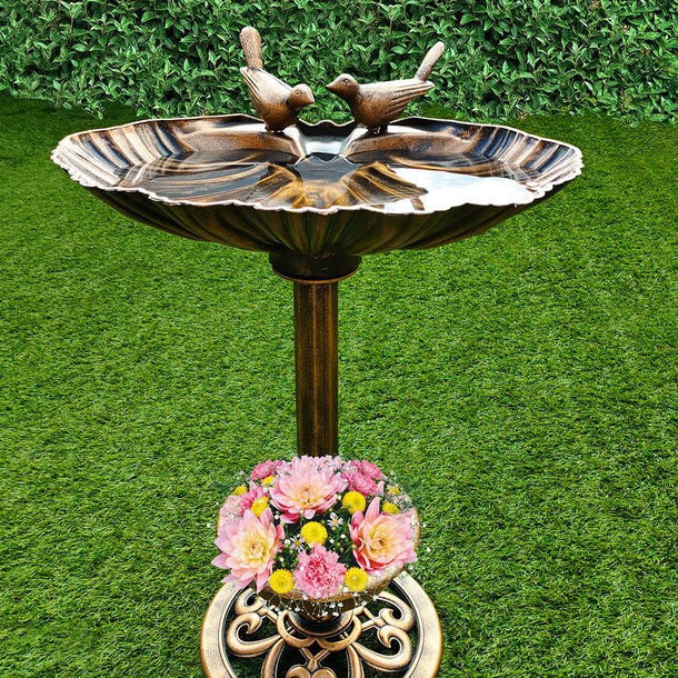 Bird, Bath, Water