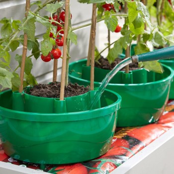 Hercul-Easy Plant Watering System (Set of 3)