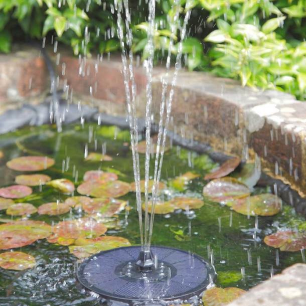 Fountain, Pond, Garden