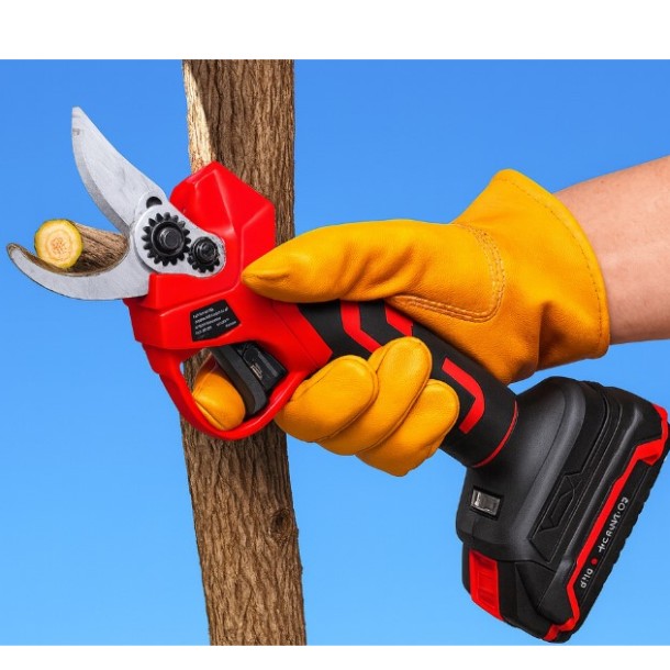 secateurs, pruning, garden, branches