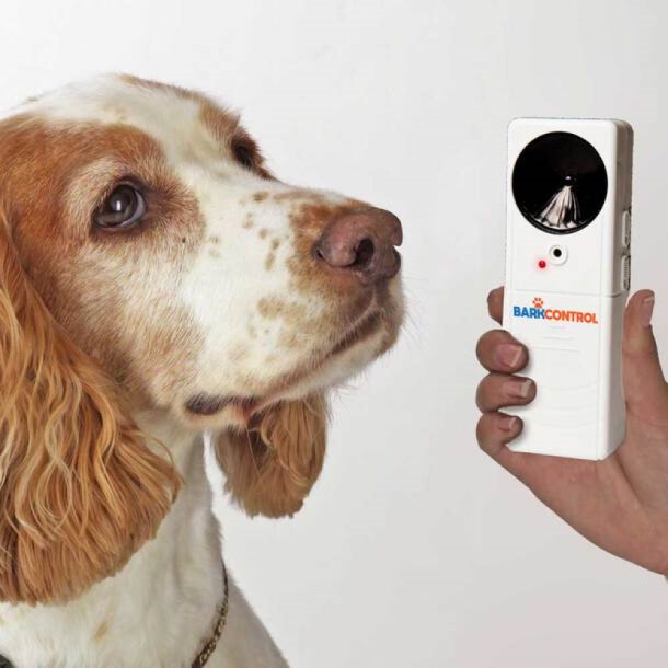 dog, barking, sonic