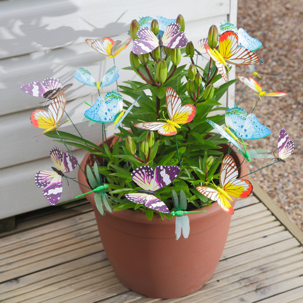 Decoration, plants, pots