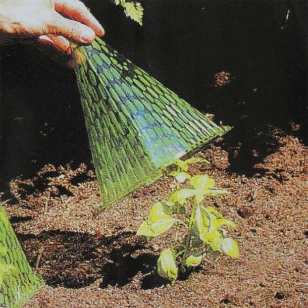 plants,flowers,vegetables,growing