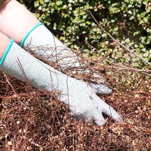 gloves, garden, protective