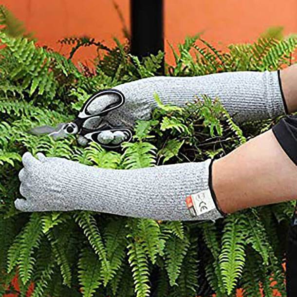 gloves, garden, protective