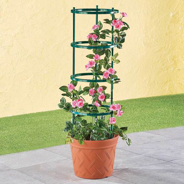 planter, trellis, tomatoes, vegetables