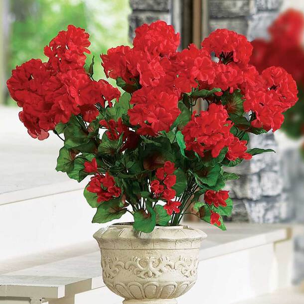 flower, floral, outdoor, bouquets