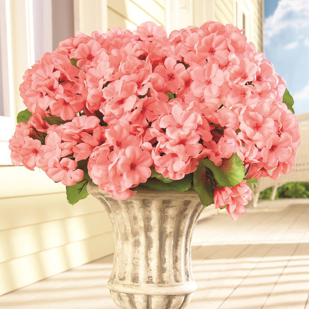 flower, floral, outdoor, bouquets
