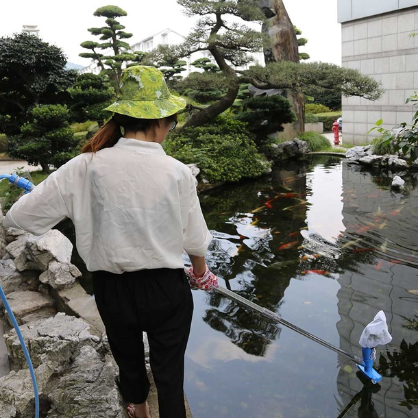 pond, vacuum, fish, garden