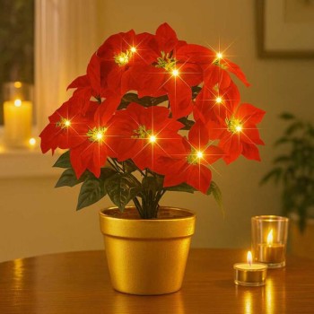 Illuminated Poinsettia
